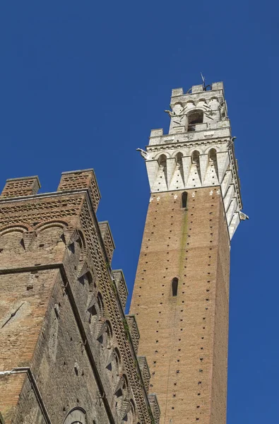 Torre del Mangia torony — Stock Fotó