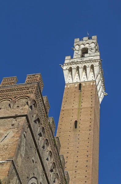 Torre del Mangia — Fotografia de Stock