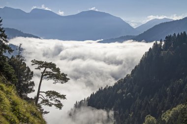 Loisach Vadisi sonbahar siste