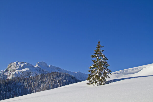 Зимний пейзаж