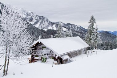 Wasensteiner Alm