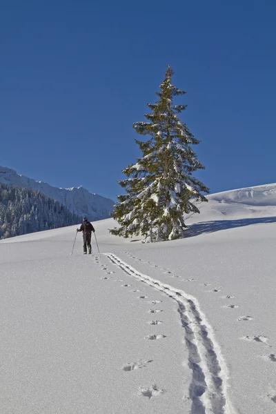 Caminhada de esqui no inverno — Fotografia de Stock