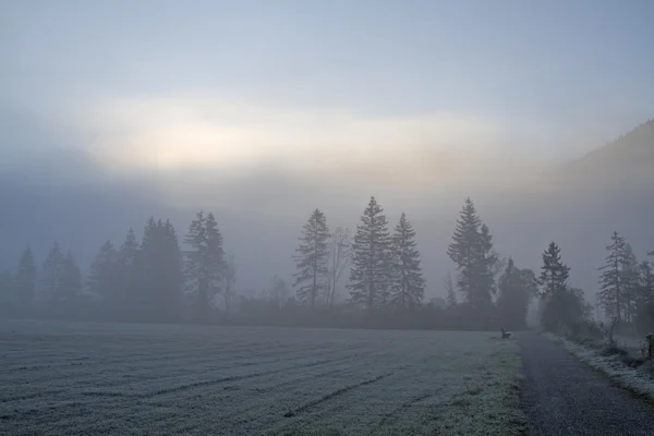 Nebbia mattutina — Foto Stock