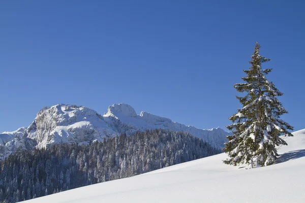 Winterlandschaft — Stockfoto