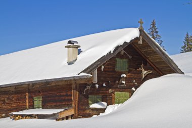 Kış Wasensteiner yazlık