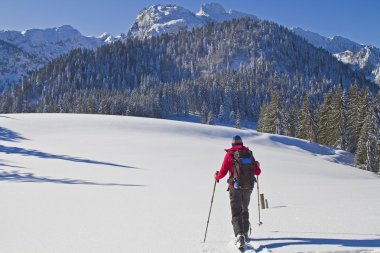 Bavyera Alpleri'nde Skitour