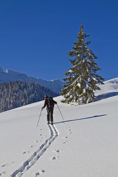 Skitouren im Winter — Stockfoto