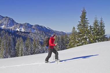 Bavyera Alpleri'nde Skitour