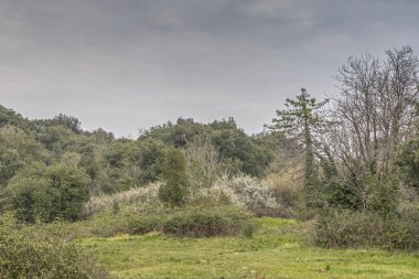 Bahar manzara Liguria