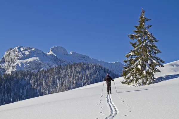 Skitouren im Winter — Stockfoto