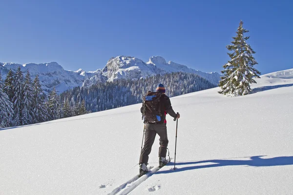 Passeggiata sugli sci in inverno — Foto Stock