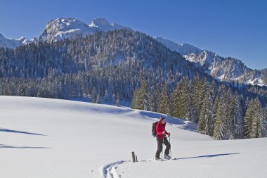 Bavyera Alpleri'nde Skitour