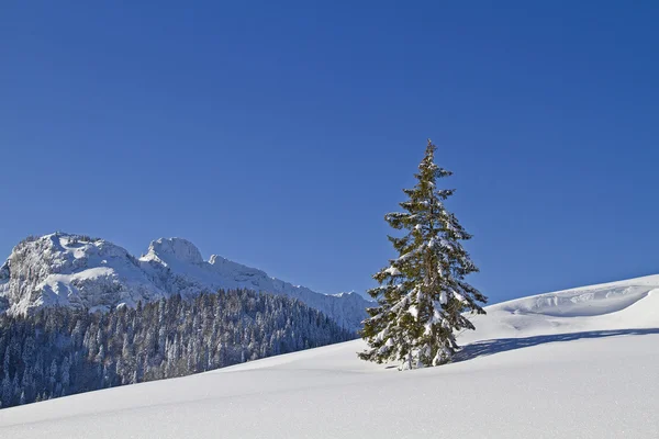 Winter landscape in Upper Bavaria Stock Photo