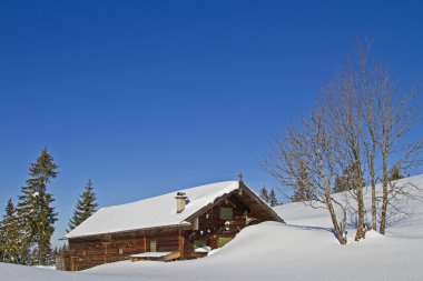 Kış Wasensteiner yazlık