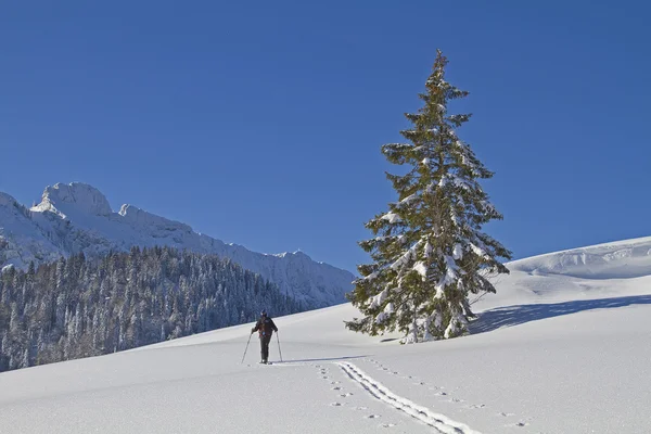 Passeggiata sugli sci in inverno — Foto Stock