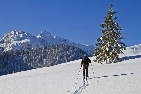 Ski promenad på vintern — Stockfoto