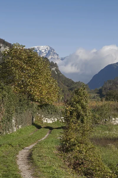 Landscape in Trentino — Stock Photo, Image