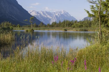 Eschenlohe vadide Loisach