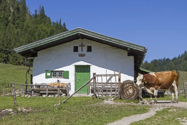 Kotalm-grasland hut in Opper-Beieren — Stockfoto