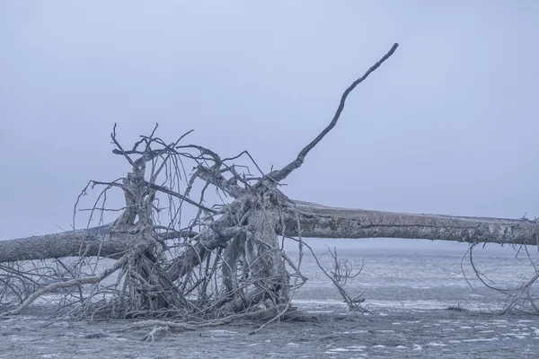 Impressionen aus dem leeren Stausee — Stockfoto