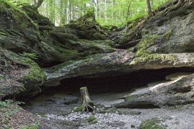 Kötü Toelz mağarada porsuk 