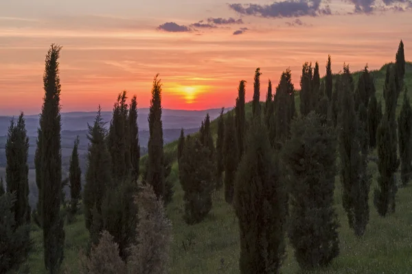 Tuscan Evening mood — Stock Photo, Image