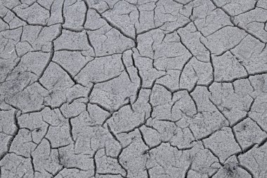 Arka plan - kuru kabuk çatlaklar