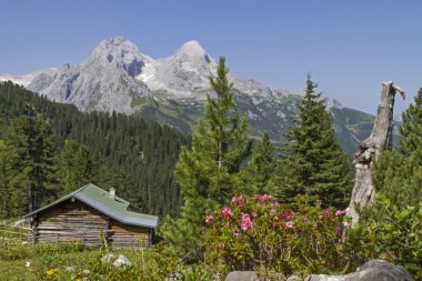 Idyllic hut in Wetterstein mountains clipart