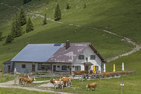 Jocherhut - idyllische gebouw in de Beierse Alpen — Stockfoto