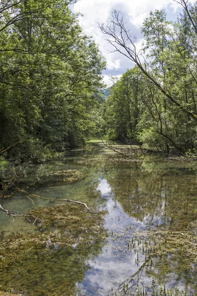 Biotopu na řece Weissach — Stock fotografie