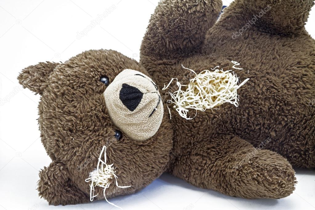 Destroyed Teddy Bear