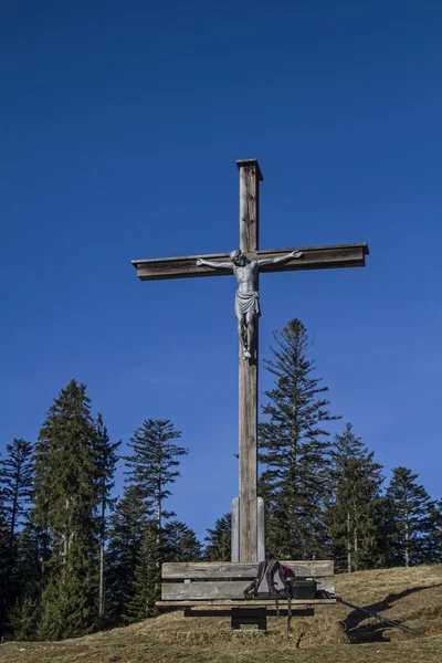 På Holzer Alm — Stockfoto