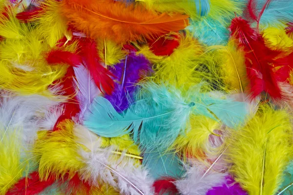 Colorful down feathers