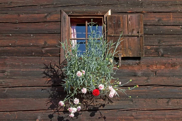 Chýše detail s květy — Stock fotografie