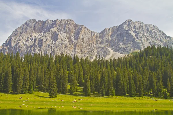 Nella valle del Gais in Tirolo — Foto Stock