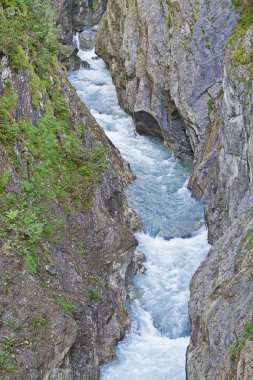 Dabergorge East Tyrol'deki / daki