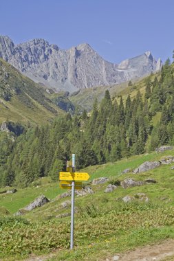 Frosnitz valley East Tyrol'deki / daki