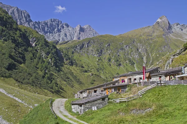 Mitteldorfer Alm w Tyrolu Wschodnim — Zdjęcie stockowe