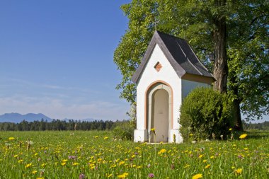 Chiemgau kilisede çayır