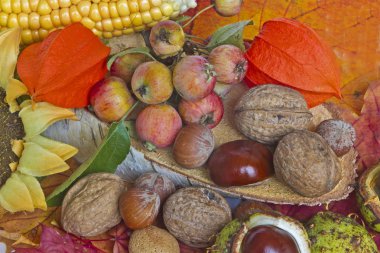 Autumnal still life