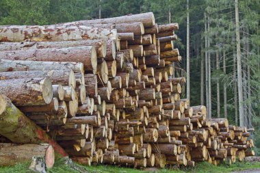 Tyrol'deki / daki woodpile