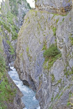 Dabergorge East Tyrol'deki / daki