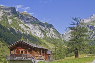 Hohe Tauern 'deki alp kulübesinde