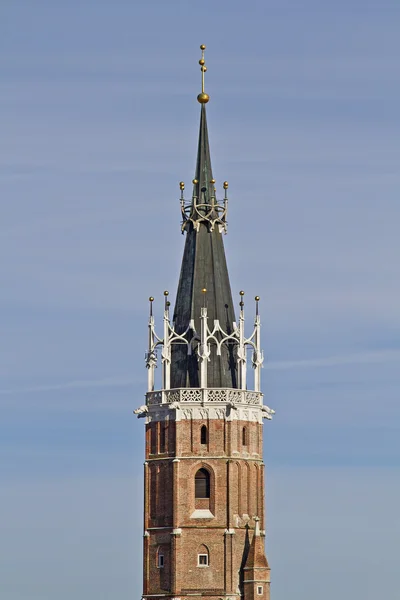 St. Martin in Landshut — Stockfoto