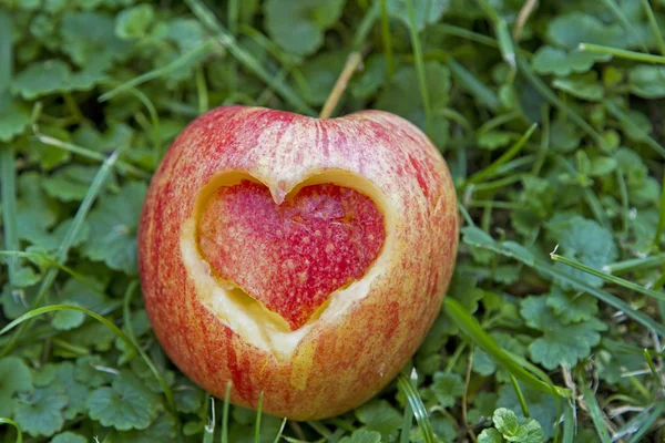 apple with heart on meadow  background