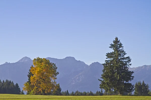 Allgaeu - paesaggio idilliaco nel sud della Germania — Foto Stock