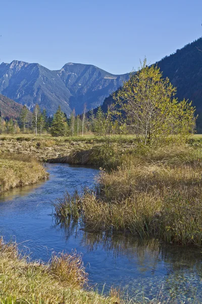 In Graswang Valley — Stock Photo, Image