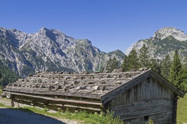 Tyrol'deki / daki Baerenbadalm