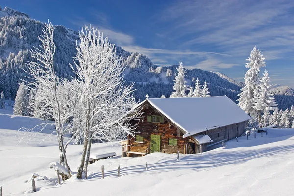Wasensteiner Alm im Winter — Stockfoto