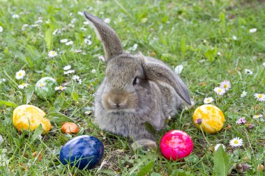 Paskalya tavşanı iş başında